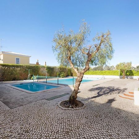 Dreamalvor Daire Dış mekan fotoğraf